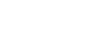 logo light